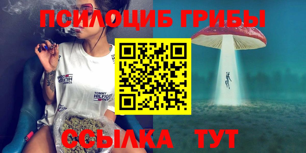 Узловая  Псилоцибиновые грибы Psilocybine cubensis  Вход с VPN  Псилоцибиновые грибы прущие грибы 